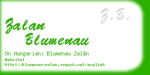 zalan blumenau business card